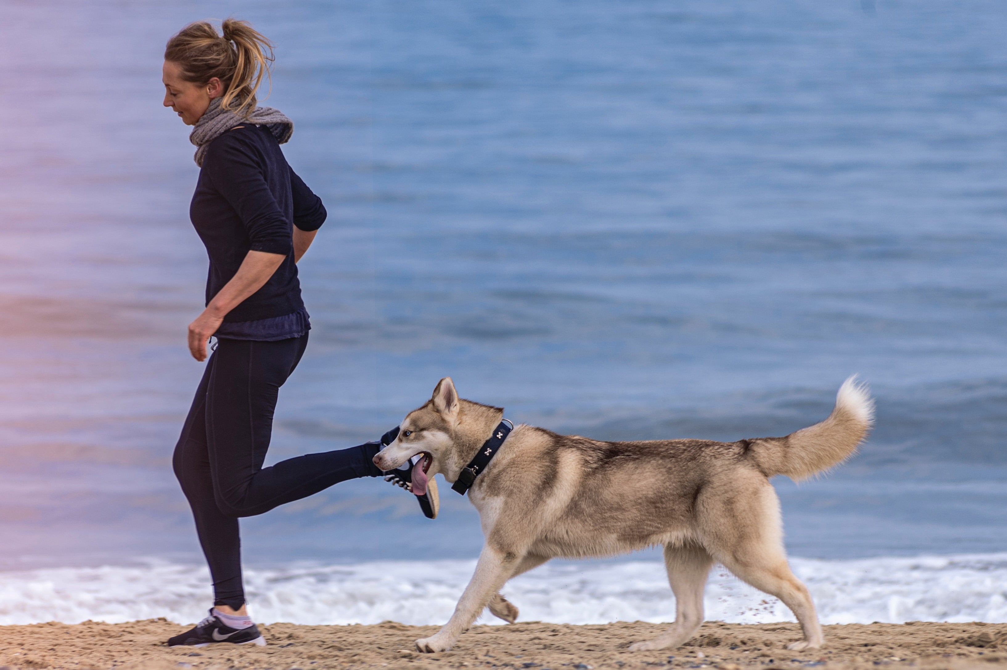 Four-Legged Fitness: Unveiling the Benefits of Running with Your Canine Companion